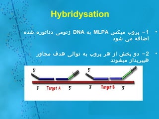 تکنیک MLPA | PPT