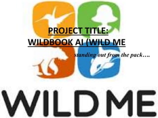 PROJECT TITLE:
WILDBOOK AI (WILD ME)
standing out from the pack….
 
