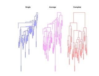 Single   Average   Complete
 