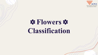 Flowers
Classification
 