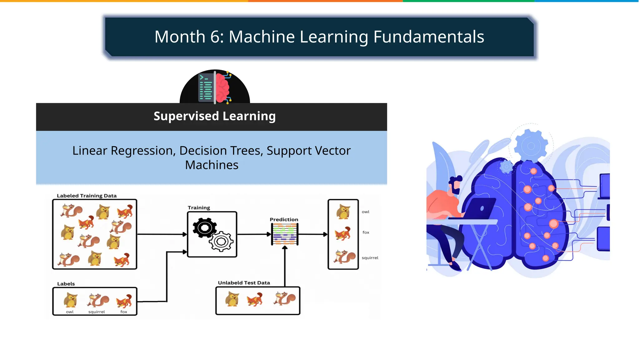 Month 6: Machine Learning Fundamentals
Linear Regression, Decision Trees, Support Vector
Machines
Supervised Learning
 