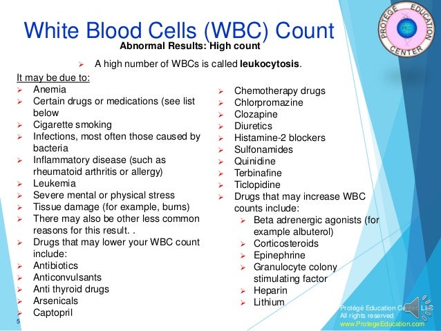 White Blood Cell Count White Blood Cell Count Causes Symptoms