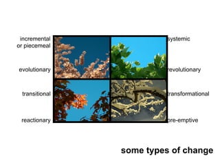incremental              systemic
or piecemeal



evolutionary              revolutionary



 transitional             transformational



 reactionary              pre-emptive




                some types of change
 