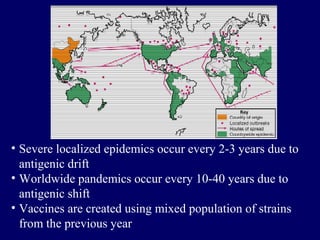 • Severe localized epidemics occur every 2-3 years due to
antigenic drift
• Worldwide pandemics occur every 10-40 years du...