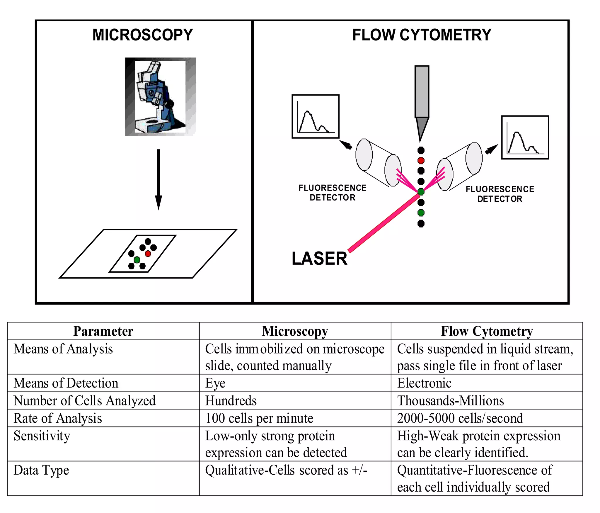 Basics of Flow cytometry by Prof. Mohamed Labib Salem | PPT