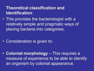 Theoretical classification and
Identification:
• This provides the bacteriologist with a
relatively simple and pragmatic ways of
placing bacteria into categories.
• Consideration is given to:
• Colonial morphology – This requires a
measure of experience to be able to identify
an organism by colonial appearance.
 