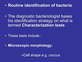 • Routine identification of bacteria
• The diagnostic bacteriologist bases
his identification strategy on what is
termed Characterization tests
• These tests include :
• Microscopic morphology:
»Cell shape e.g. coccus
 