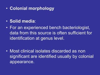 • Colonial morphology
• Solid media:
• For an experienced bench bacteriologist,
data from this source is often sufficient for
identification at genus level.
• Most clinical isolates discarded as non
significant are identified usually by colonial
appearance.
 