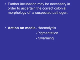 • Further incubation may be necessary in
order to ascertain the correct colonial
morphology of a suspected pathogen.
• Action on media- Haemolysis
- Pigmentation
- Swarming
 