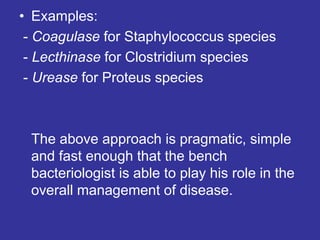 • Examples:
- Coagulase for Staphylococcus species
- Lecthinase for Clostridium species
- Urease for Proteus species
The above approach is pragmatic, simple
and fast enough that the bench
bacteriologist is able to play his role in the
overall management of disease.
 