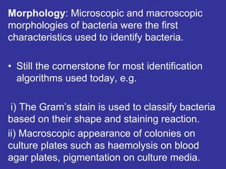 Morphology: Microscopic and macroscopic
morphologies of bacteria were the first
characteristics used to identify bacteria.
• Still the cornerstone for most identification
algorithms used today, e.g.
i) The Gram’s stain is used to classify bacteria
based on their shape and staining reaction.
ii) Macroscopic appearance of colonies on
culture plates such as haemolysis on blood
agar plates, pigmentation on culture media.
 