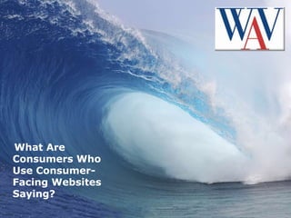 What Are Consumers Who Use Consumer-  Facing Websites Saying?  
