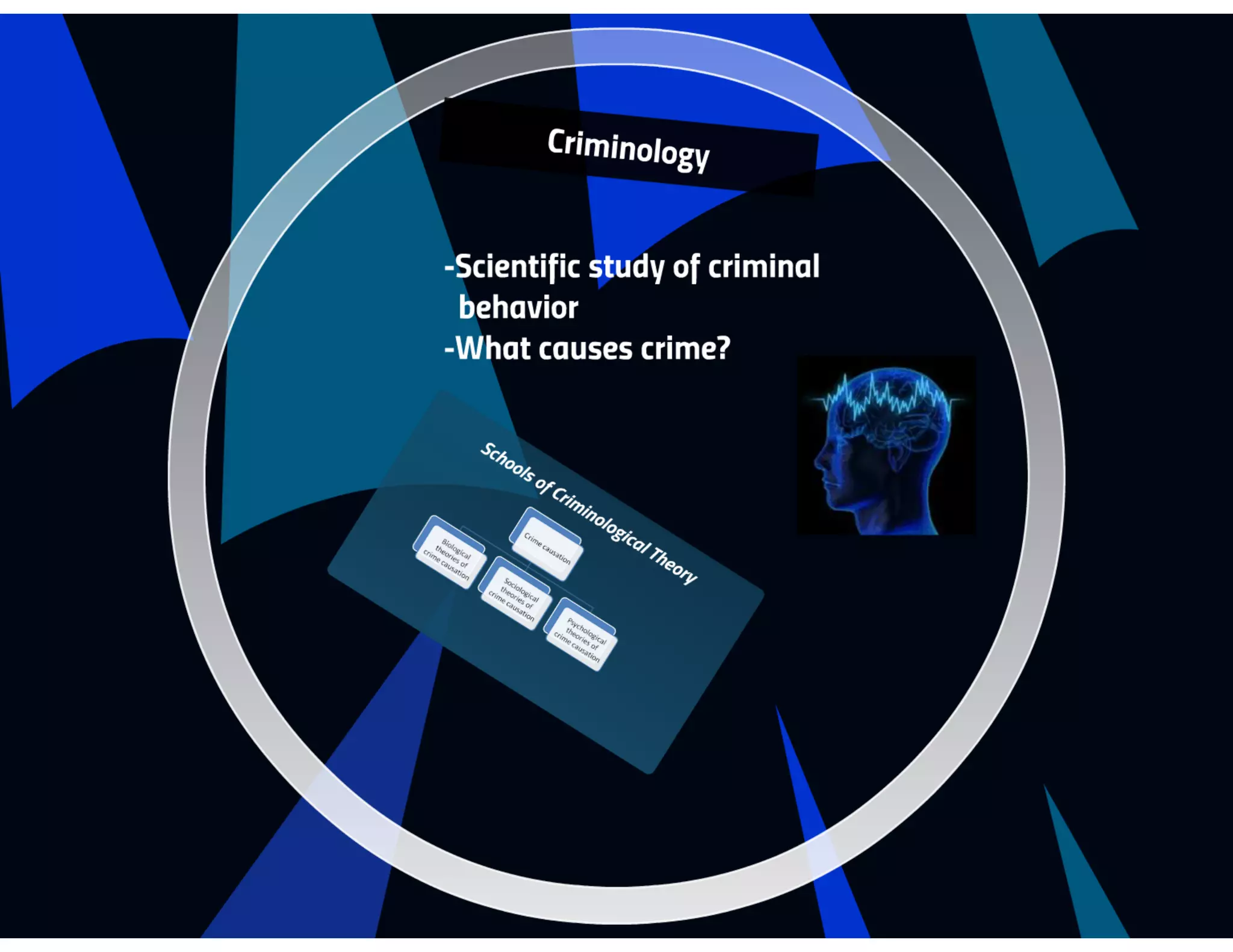 MLSEV Virtual. Fraud in a Digital Environment