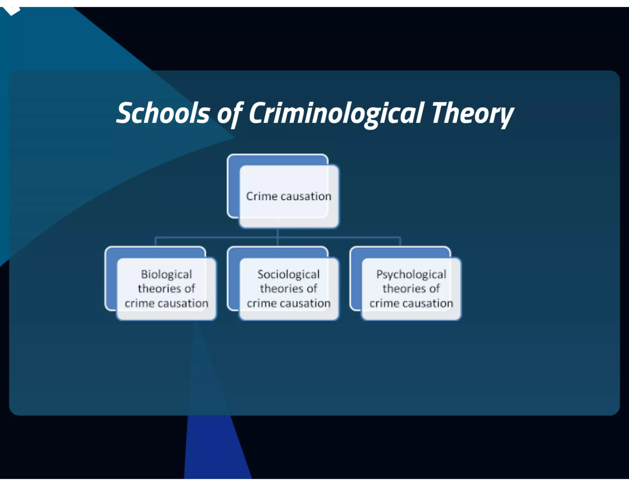 MLSEV Virtual. Fraud in a Digital Environment
