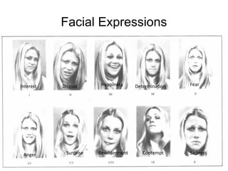 Non-Verbal Communicatons
Mohammad Tawfi
#WiiiCourses
http:////WiiiCoursesWWiiiSpacesWcom
Facial Expressions
Interest Disgust Happiness Determinaton Fear
Anger Surprise Bewilderment Contempt Sadness
 