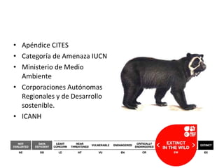 • Apéndice CITES
• Categoría de Amenaza IUCN
• Ministerio de Medio
Ambiente
• Corporaciones Autónomas
Regionales y de Desarrollo
sostenible.
• ICANH
 