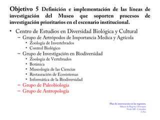 Objetivo 5 Definición e implementación de las líneas de
investigación del Museo que soporten procesos de
investigación prioritarios en el escenario institucional.
• Centro de Estudios en Diversidad Biológica y Cultural
– Grupo de Artrópodos de Importancia Medica y Agrícola
• Zoología de Invertebrados
• Control Biológico
– Grupo de Investigación en Biodiversidad
• Zoología de Vertebrados
• Botánica
• Museología de las Ciencias
• Restauración de Ecosistemas
• Informática de la Biodiversidad
– Grupo de Paleobiología
– Grupo de Antropología
Plan de intervención en las regiones;
Sabana de Bogotá, Orinoquia
Nodo SiB- Colombia
I-Pez
 