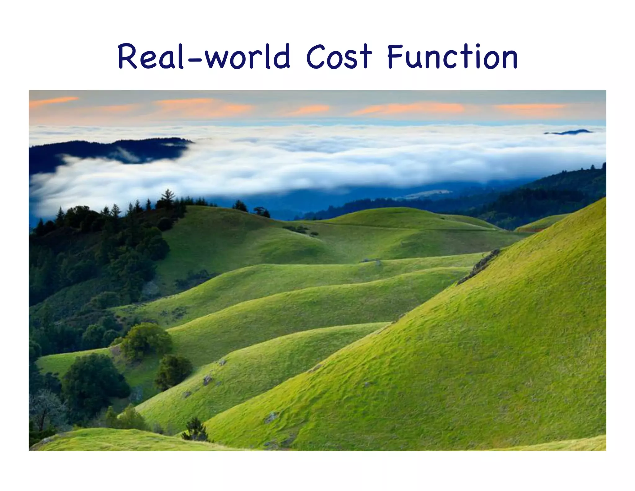 Ideal Cost Function	
  
 