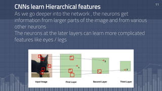 11
CNNs learn Hierarchical features
As we go deeper into the network , the neurons get
information from larger parts of the image and from various
other neurons
The neurons at the later layers can learn more complicated
features like eyes / legs
 