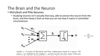 The Brain and the Neuron
• McCulloch and Pitts Neurons
• Studying neurons isn’t actually that easy, able to extract the neuron from the
brain, and then keep it alive so that you can see how it reacts in controlled
circumstances.
 