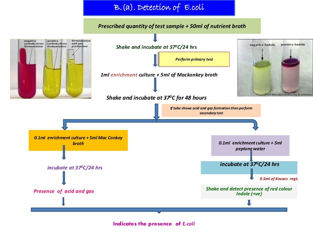 Microbial limit tests I.P By Dr.P.Srinivas Jangaon institute of pharm…