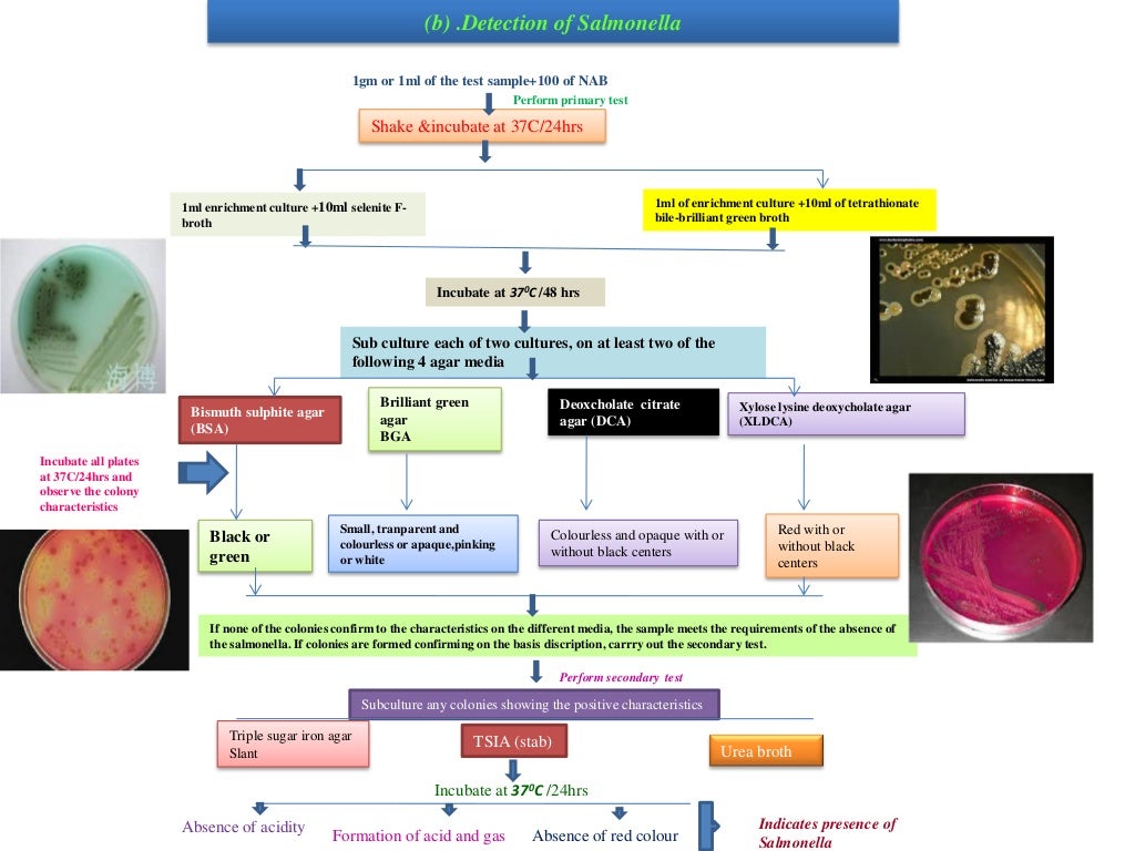 Microbial limit tests I.P By Dr.P.Srinivas Jangaon institute of pharm…