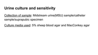 Urine: Microscopic examination - Pathology - MLT, ATOT, RDT | PPTX