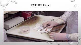 PATHOLOGY
 