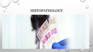 HISTOPATHOLOGY
 