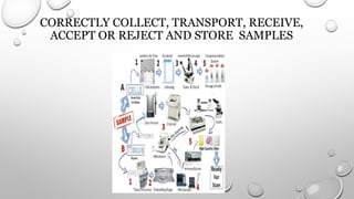 CORRECTLY COLLECT, TRANSPORT, RECEIVE,
ACCEPT OR REJECT AND STORE SAMPLES
 