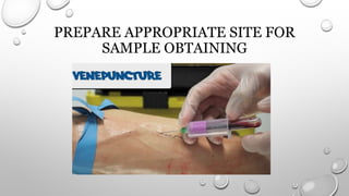 PREPARE APPROPRIATE SITE FOR
SAMPLE OBTAINING
 