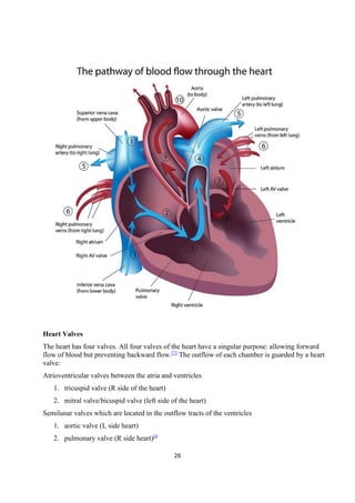 26
Heart Valves
The heart has four valves. All four valves of the heart have a singular purpose: allowing forward
flow of blood but preventing backward flow.[7]
The outflow of each chamber is guarded by a heart
valve:
Atrioventricular valves between the atria and ventricles
1. tricuspid valve (R side of the heart)
2. mitral valve/bicuspid valve (left side of the heart)
Semilunar valves which are located in the outflow tracts of the ventricles
1. aortic valve (L side heart)
2. pulmonary valve (R side heart)[4
 