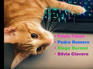 • Paula Patón
• Pedro Romero
• Diego Durand
• Silvia Clavero
 