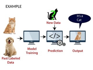 EXAMPLE
 