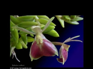 第四、 工作上給你忠告， 提攜你的朋友。 