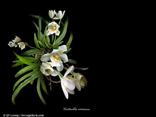 第六、比你年長 10 歲以上 閱歷頗豐 的朋友。 