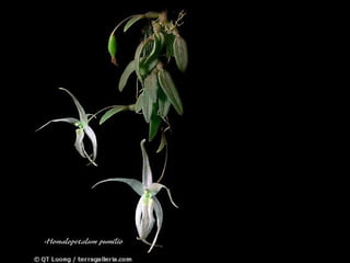 人與人在不同的時間空間之中，彼此相遇，有些時候，你會發現，你一開始最看不順眼的人，竟然是你的好友，因為你發現了他的好。   