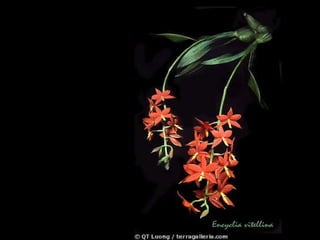 有時候你根本不想去認識一個人，因為你覺得無趣，後來你卻發現，他竟是你想要認識的那種人。   