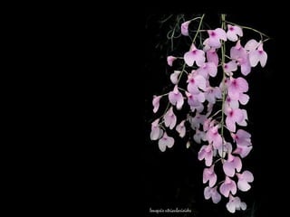 如此複雜的習題卻一次又一次地跟著我們，解不開也算不清，人家說在對的時間愛一個人，你是幸福的，在錯的空間遇到一個人，你是痛苦的。   