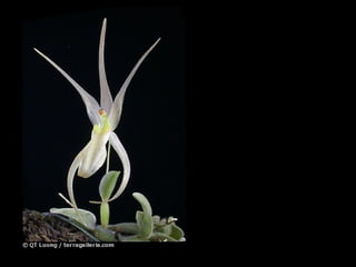 有些人就是有一種一見如故的感受，有些人你怎樣就是說不上幾句話，像是一部公車，在這一站上車，又在另一站下車，事事總是充滿變數與未知。   