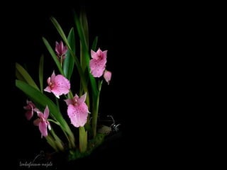 因為你根本不知道，錯過了這次，你跟他會在哪個時空再相遇，也許是你們唯一的一次相遇。   