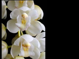 到現在年過五十好幾，不知達到怎樣的程度，才算是朋友，但我知道，這輩子能認識你，真的很幸運。   