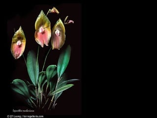 有時自己一個人想想，因為有緣而在一起，因為有緣而相識，但這不是一個錯，而是早在五百年前修來的福份，全都是在你前生就註定的。 