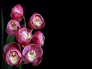 「認識你真好，不多不少， 讓我賺進兩憶。」 「一憶」是成長的回憶， 「一憶」是美麗的記憶。 