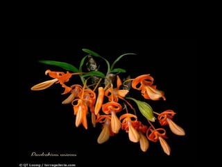 祝福你，我的朋友！ 