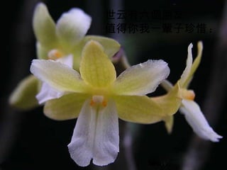 世云有六個朋友 值得你我一輩子珍惜 : 