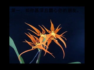 第一 、 知你甚深且關心你的朋友。 