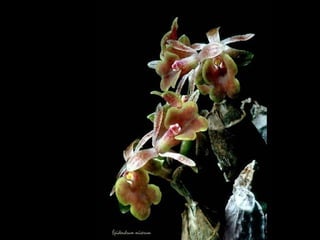 第二 、 生活型態像你的朋友。 