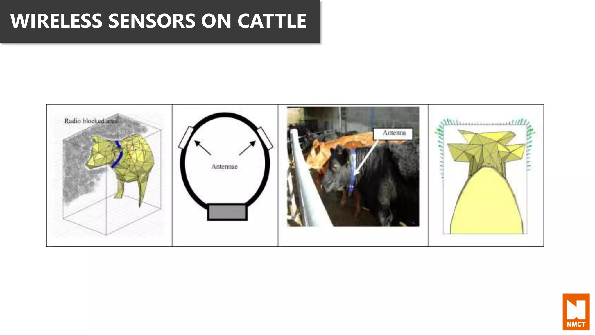 WIRELESS SENSORS ON CATTLE