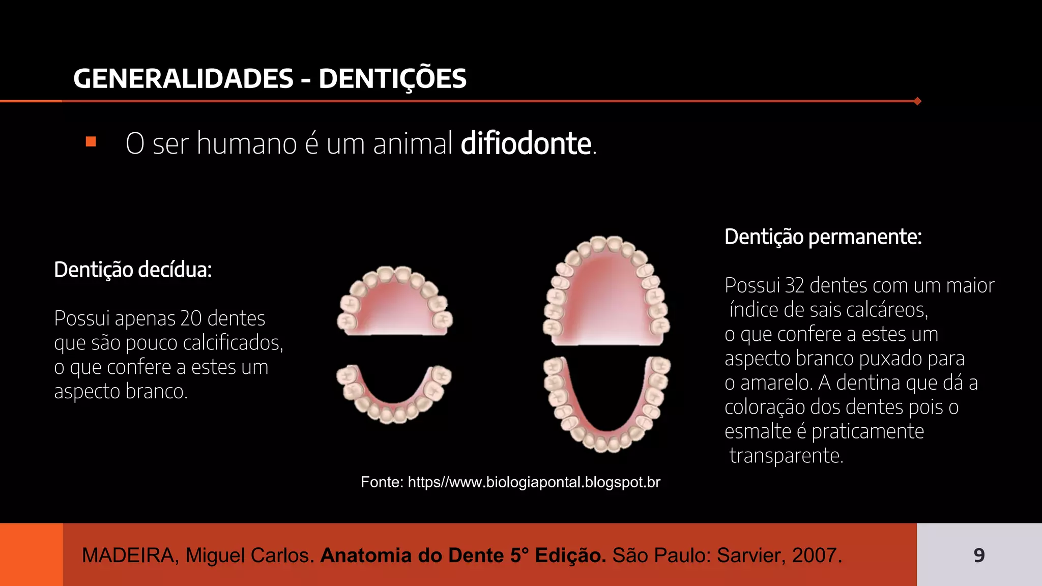 Introdução à Anatomia Dentária e Anatomia dos Dentes Anteriores. | PDF